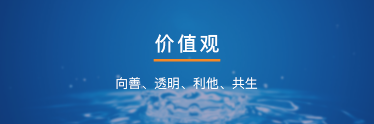 价值观